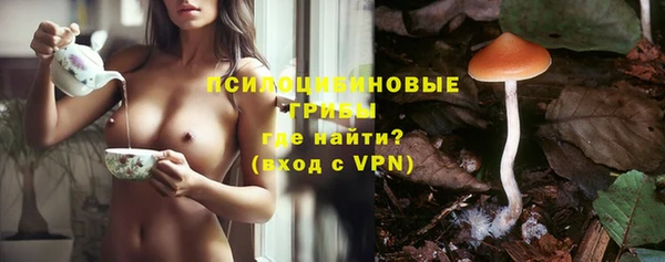 СК Михайлов