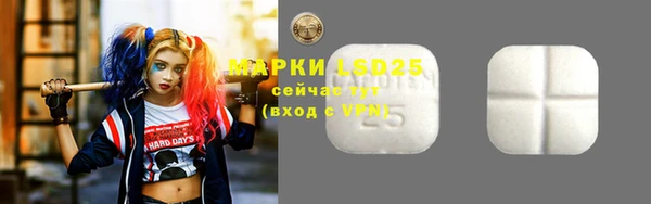 СК Михайлов