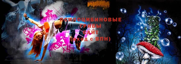 СК Михайлов