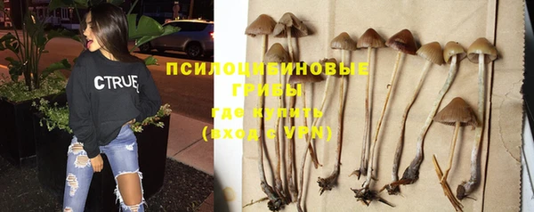 круглые Михайловск