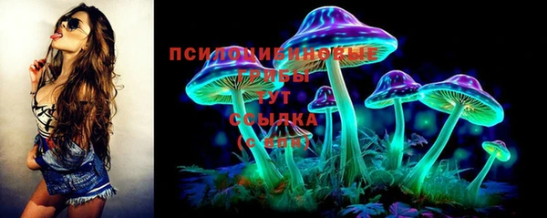 прущие грибы Надым