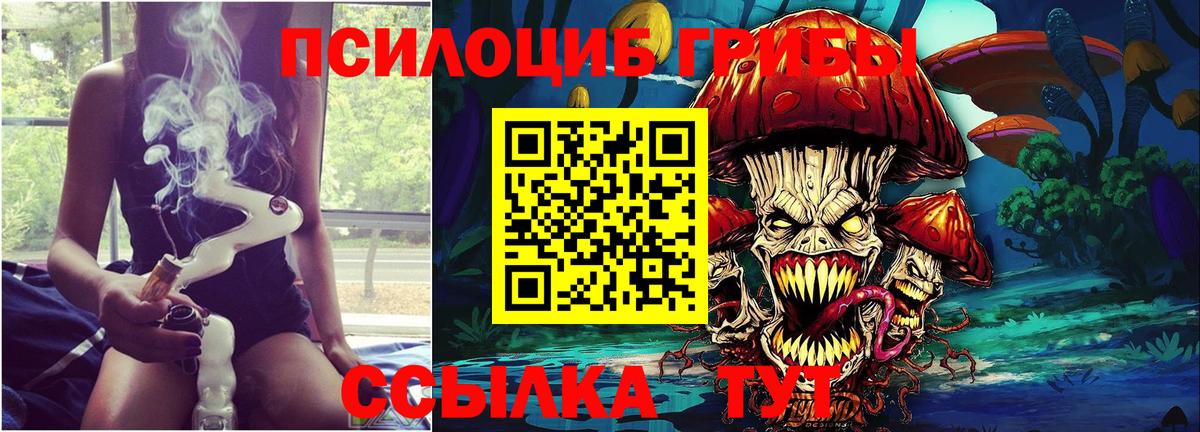 Псилоцибиновые грибы Psilocybe Салават